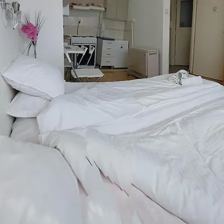 Daca Stan Na Dan Appartement Belgrade
