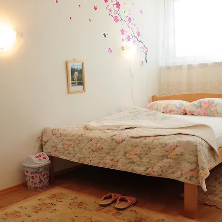 Daca Stan Apartment *