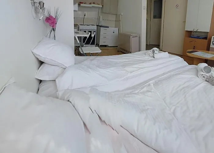 Daca Stan Na Dan Apartamento Belgrado